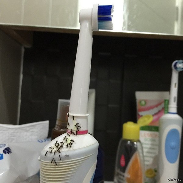 ������� � ������� ������� ���