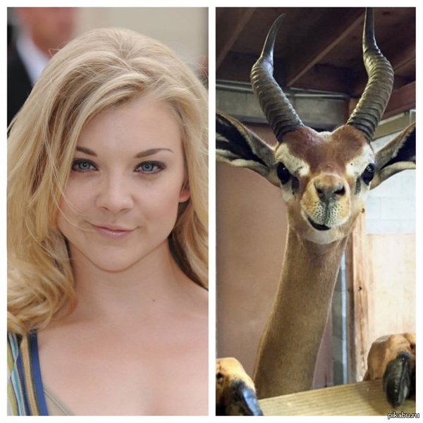 ���-�� � ���� ����...