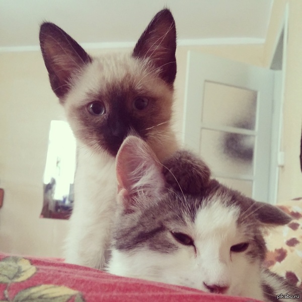 ��� ��� � ���� ������ �����, ����� ����������.