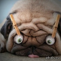 � �����^:^