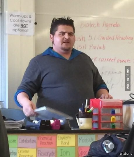 Учитель выглядит как смесь Россомахи и пингвина