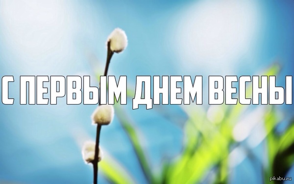 С первым марта, дорогая! С этим ярким весенним днем!