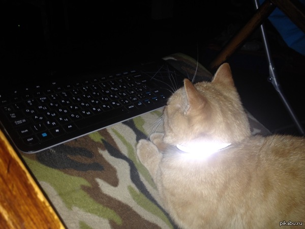 ��� ��� Lexus )))