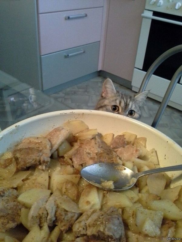 ���� ������������ ��������� �������� �� ����� ����;) �������� �����.