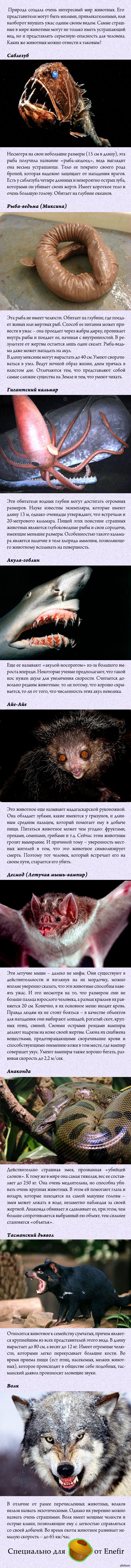 ����� �������� � ���� ��������