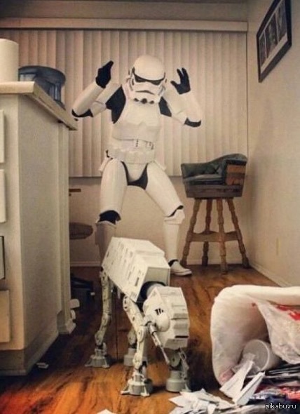 ���� ������