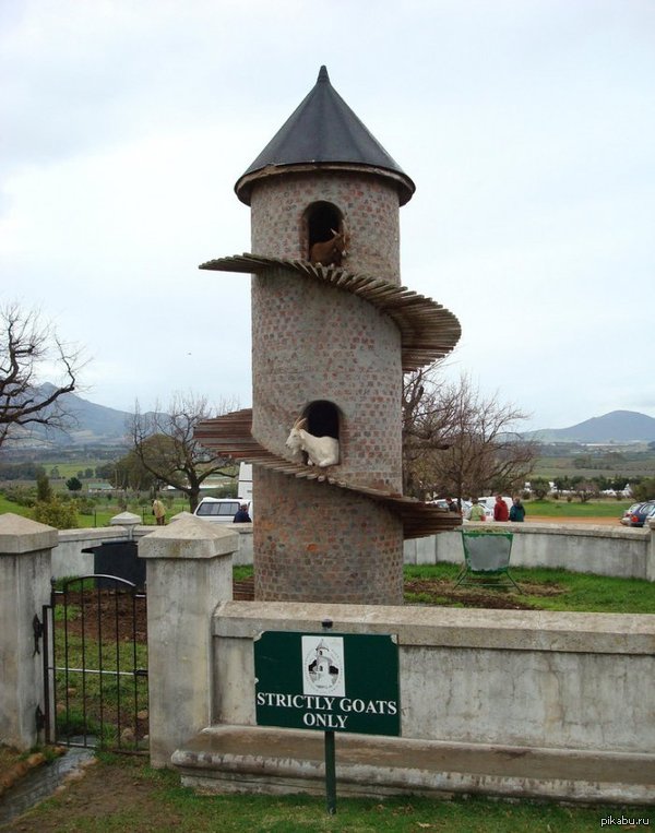 Некогда объяснять, играй!