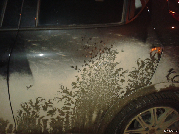 natural tuning - My, Airbrushing, Dirt, Spray, Auto, Car, Forest