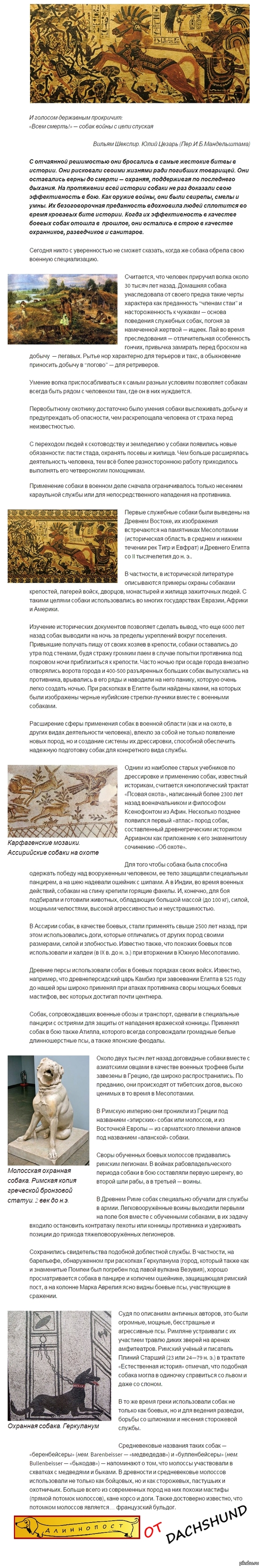 ������� ���: ������ ���������� � ������ �������.