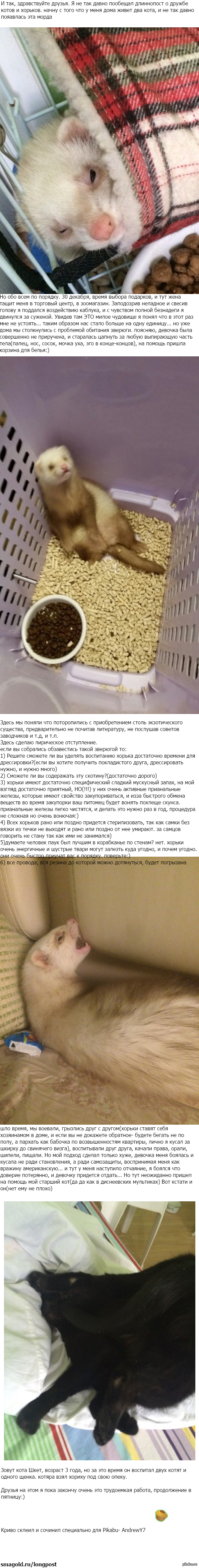 ������ � ����