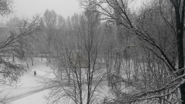 ���, ����� ������.