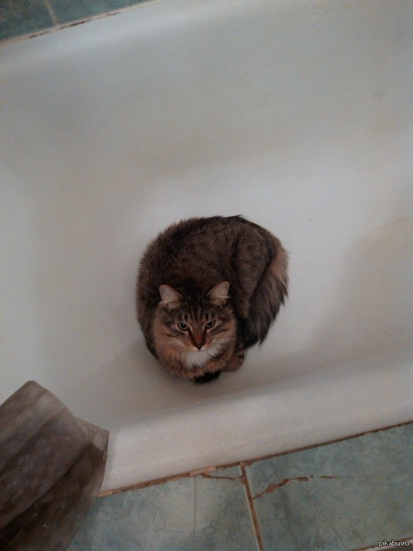 �� ����� ������� ����� ����� � ��� � � ������ ��� ������� �� ���� ��� ��...