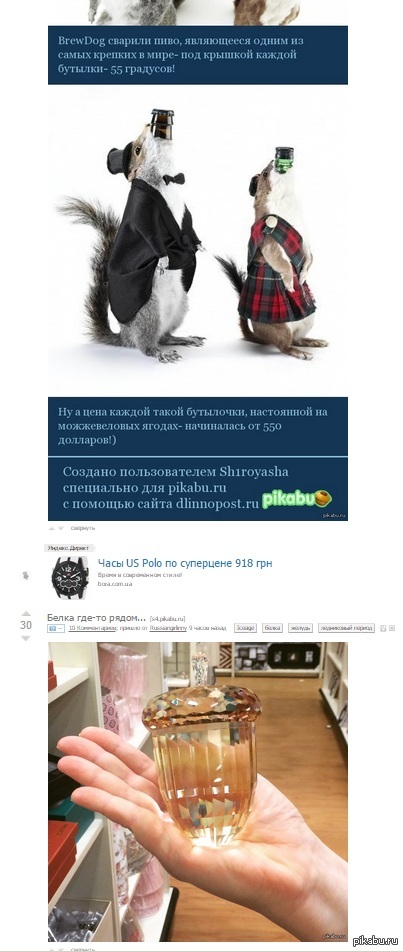 Сделать для белок, что повыше, крышку из ореха, который пониже!)