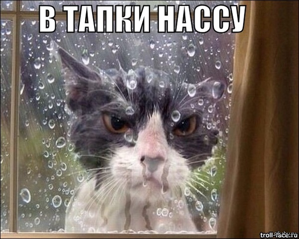 � ����� �����!