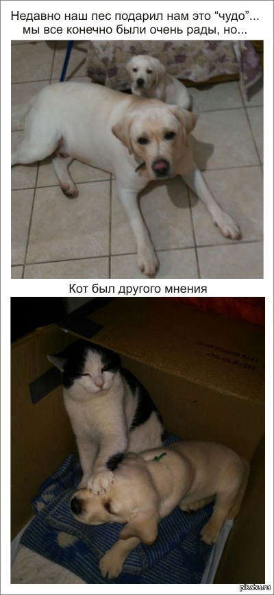 �� ����� ��������...