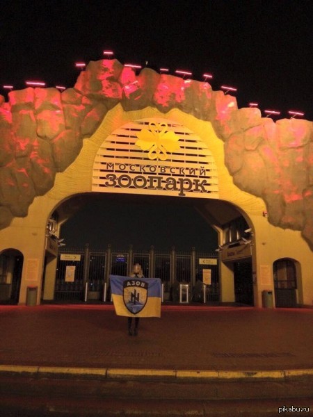 ���������?