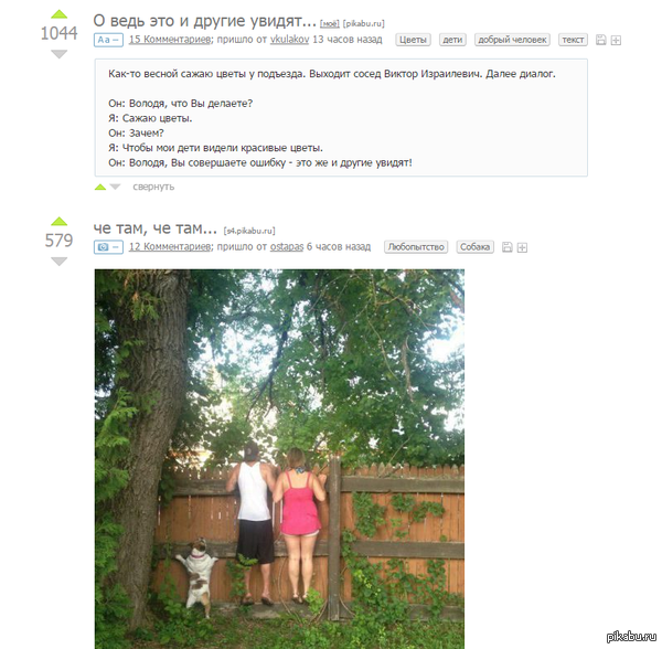 ����� � �����������