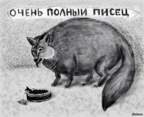 Пикабушники, нужна помощь.