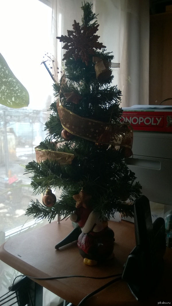 �������� � ��� ��������