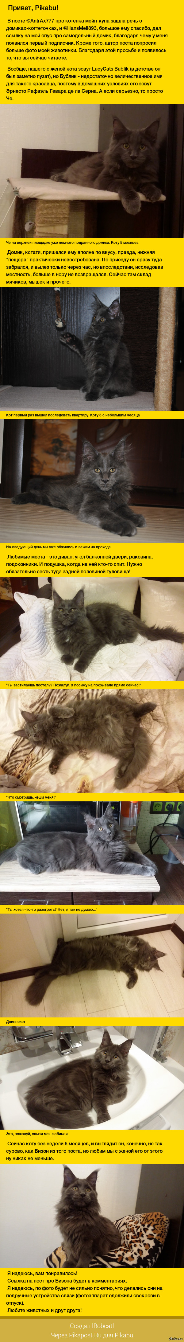 Мой куненок