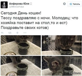 ��� ��� ������ ����