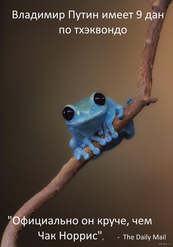 ����� vs ������