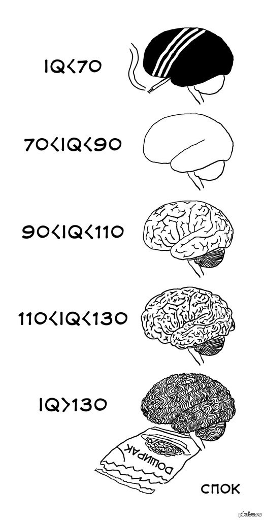 Intelligence Quotient   ?