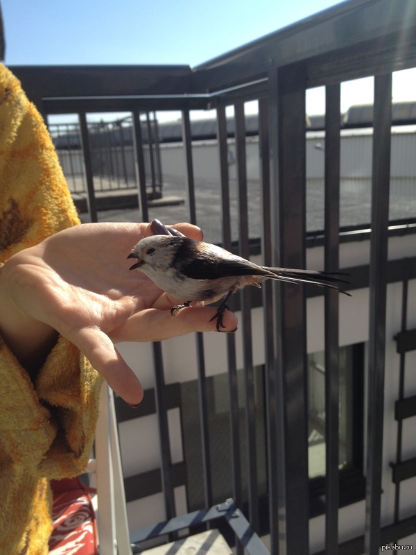 ��� ����� ������� � ��� � ����� ��������