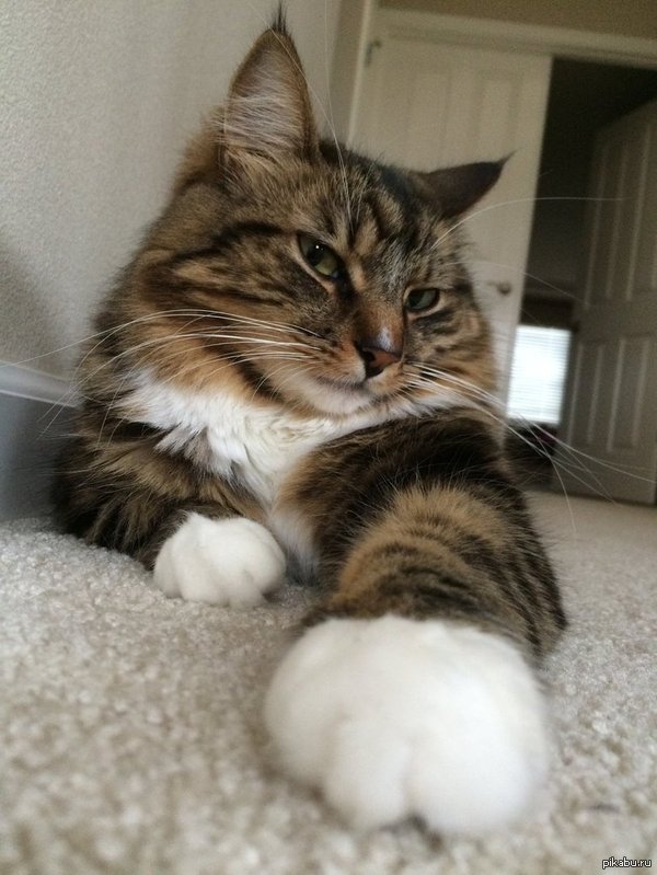 &quot;     ?&quot; 