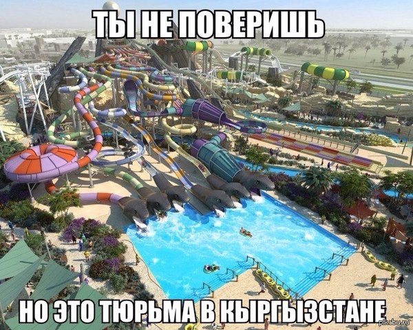 ,     ? 