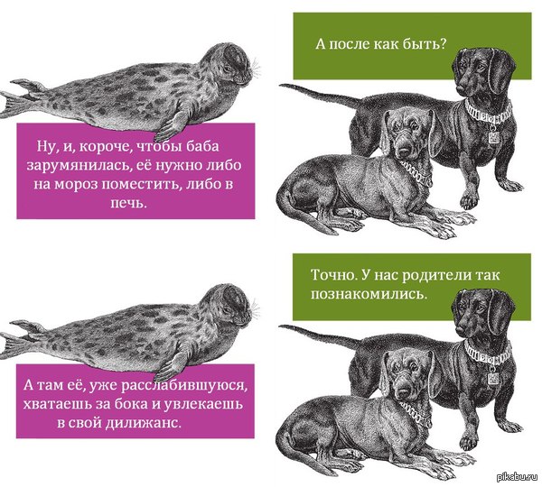 ������ ����� �**�� �� ������)