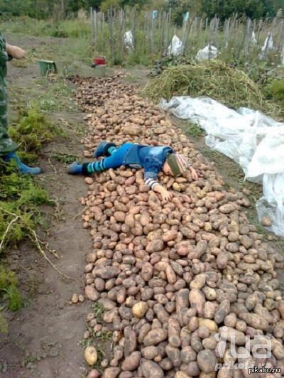   ,  ,        : <a href="http://pikabu.ru/story/chto_lyudi_dumayut_kogda_uznayut_chto_tyi_iz_ivanovo_3151819">http://pikabu.ru/story/_3151819</a>