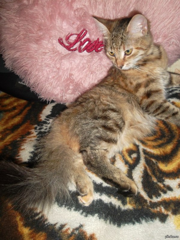 �������������