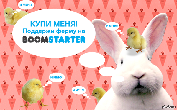   &quot; &quot;   &quot;    Boomstarter.  !  15       !    : https://boomstarter.ru/projects/136521/shkola_fermerov_dlya_trudoustroystva_sirot