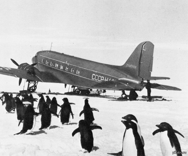 �������� �����