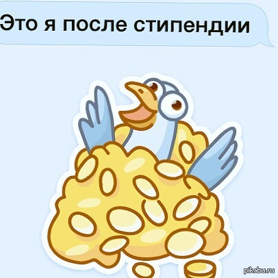 Первые 10 минут...