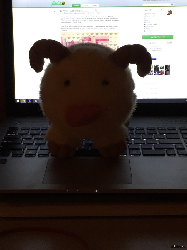 ���� ���� ������� �� ����, ��� �� ���������.