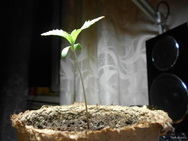 ����������� �����!