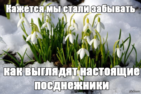 ��������� �����������