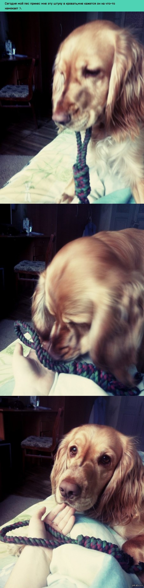 � ������ �����,�������