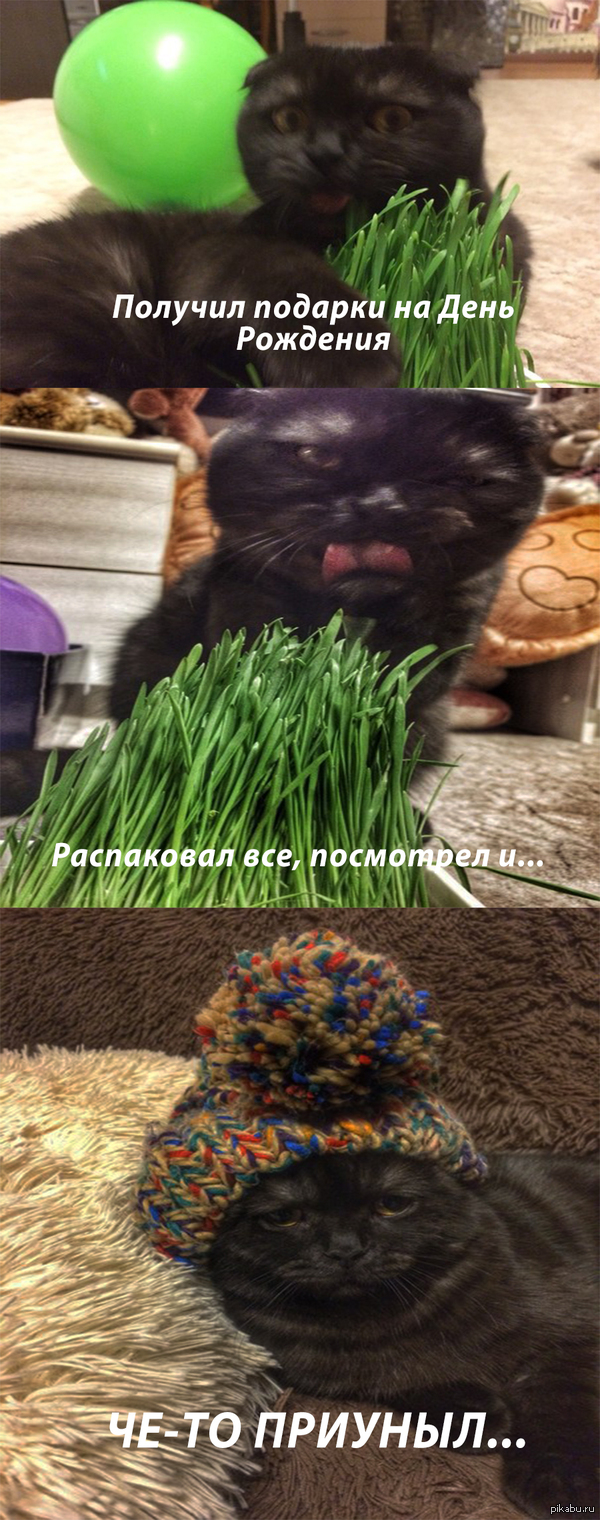 Че-то приуныл :(