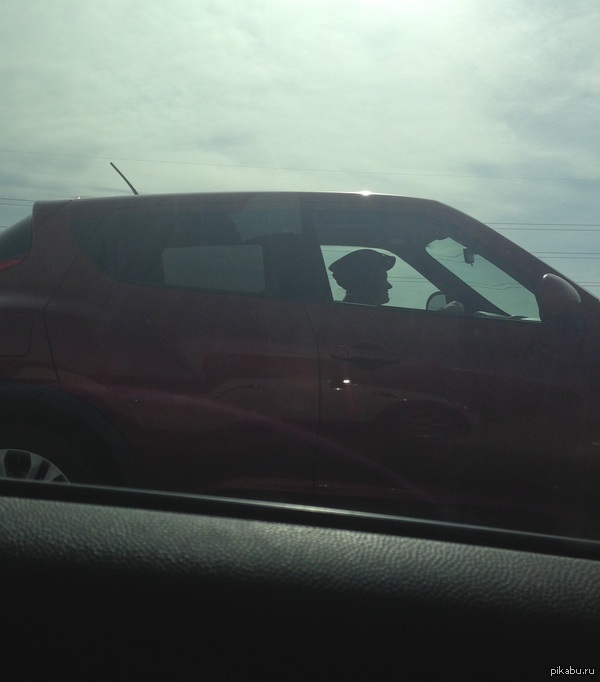 ������� ������!