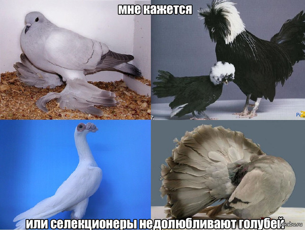 ������� �� ������ :)