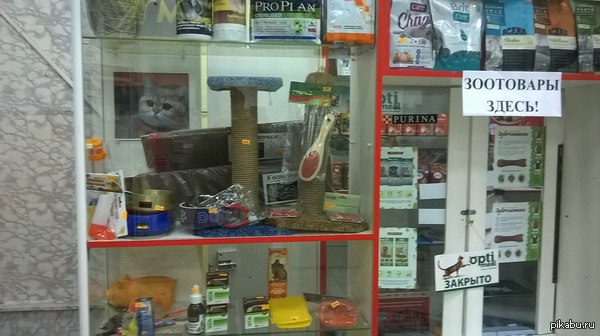 Зоомагазинчик..
