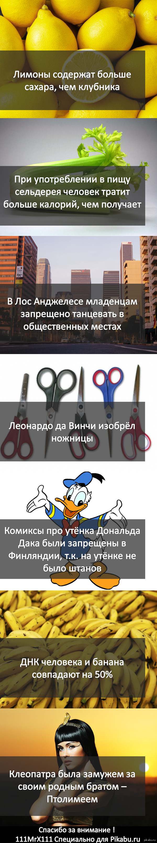 �������� ���������� ������