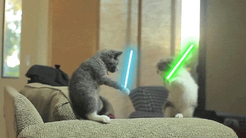 Luke Catwalker vs Anakin Catwalker (Darth Vader) 