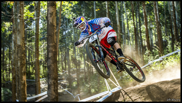 ����������� ������,����� ��������,������ ����� ��������)