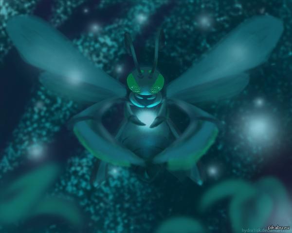 Blue Bee , !   ,  ,      .