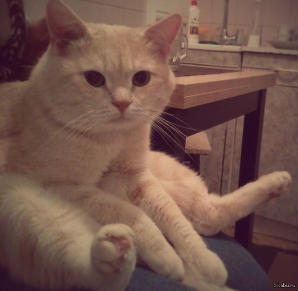 ��� ��� ����� ������ ���