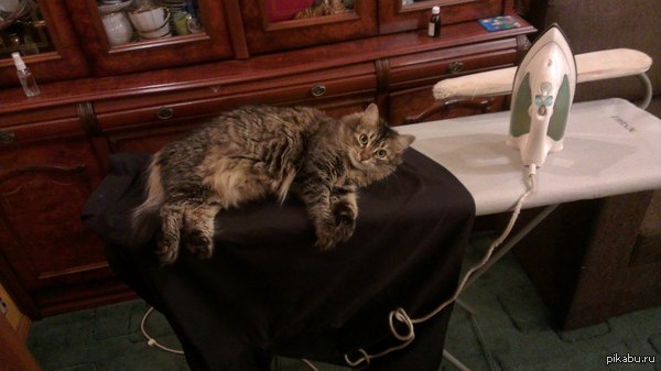 ��� ������ ����. � ����, ��� ����� �������